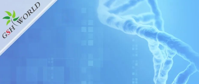 煙酰胺和nmn區(qū)別？煙酰胺單核苷酸(NMN) 的化合物