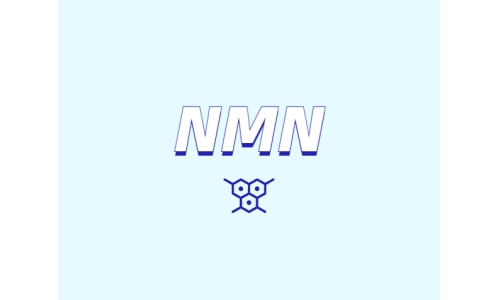 NMN對人體有什么潛在效果？