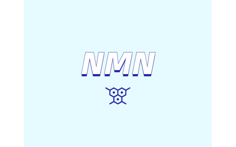 NMN對人體有什么潛在效果？